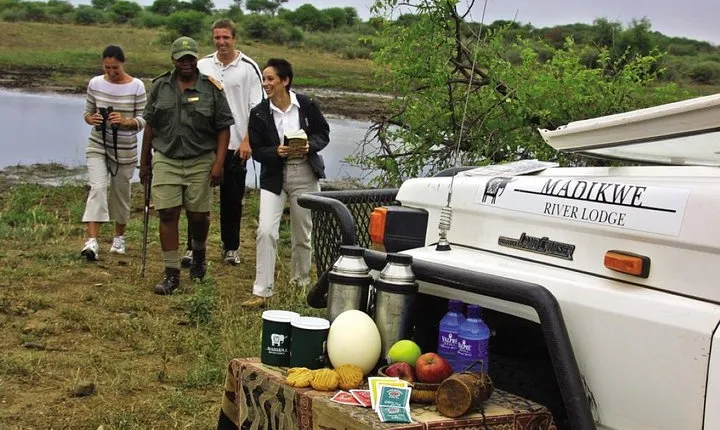 3night-4days Madikwe River Lodge-Madikwe Game Reserve from Johannesburg Pretoria