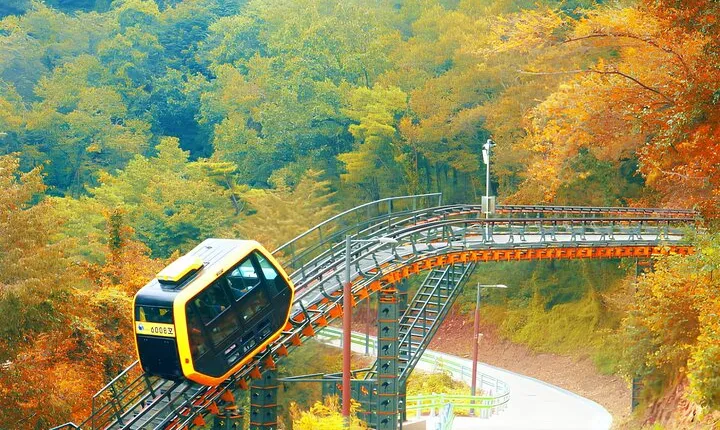 Ganghwa DMZ + Traditional Market + Hwagae Garden Day Tour