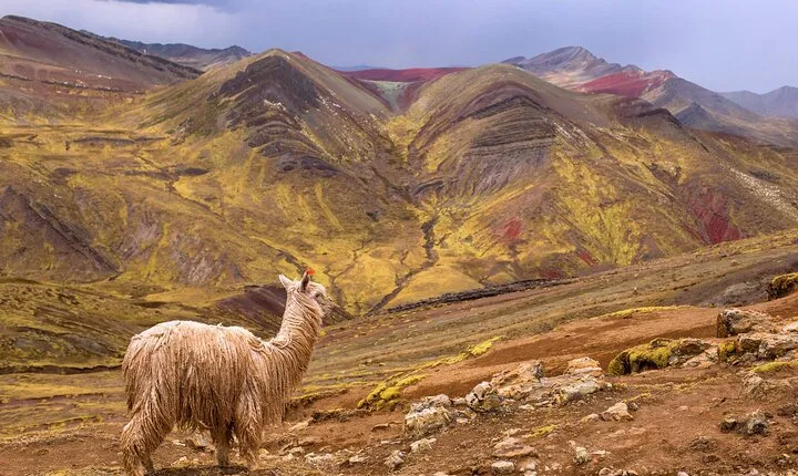 Full-Day Private Hike to Palcoyo Mountain