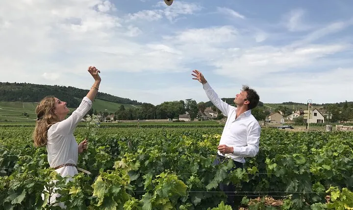 Full day from Dijon: the most of Burgundy with lunch
