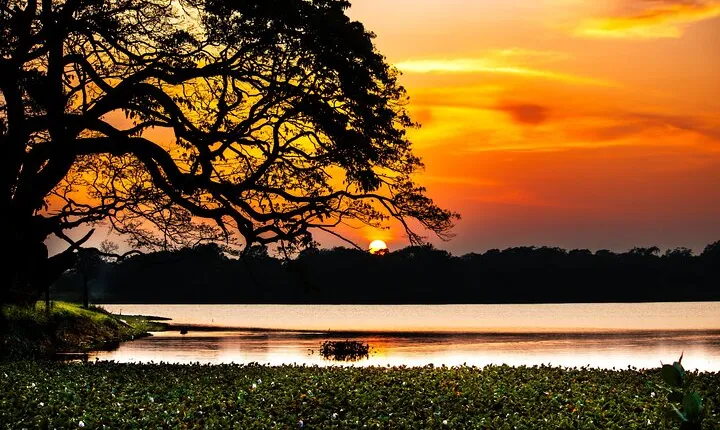 Day Tour to Wilpattu National Park From Colombo