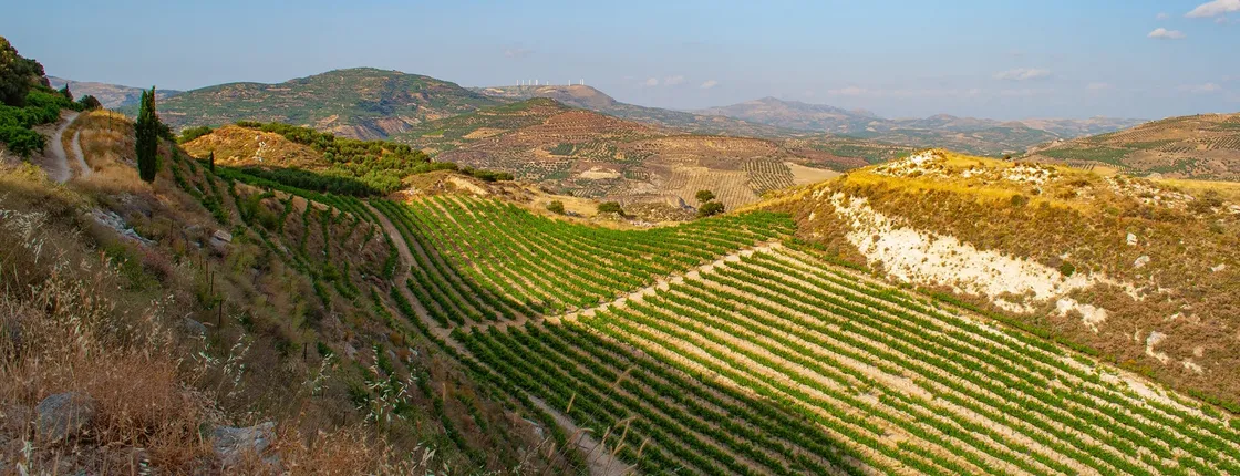 Private heart of Crete tour and wine tasting