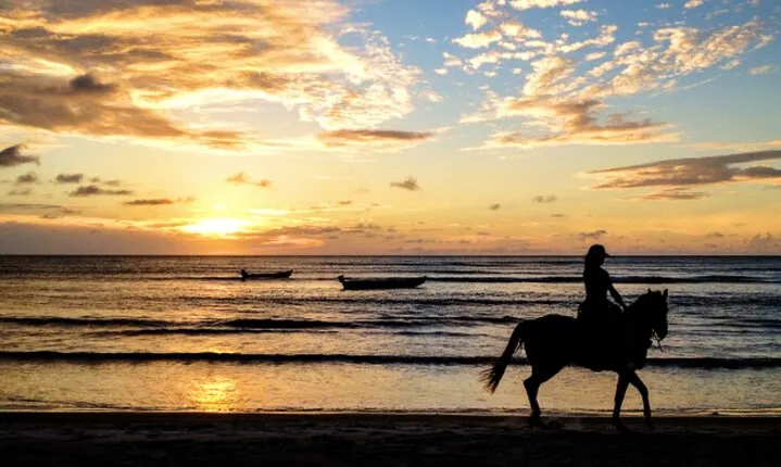 Cartagena: Horseback Riding at the Beach During Day or Sunset