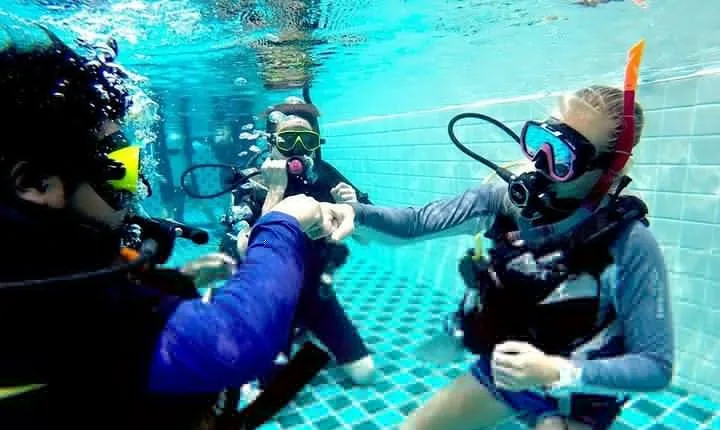 6-Week PADI Dive Divemaster in Koh Chang
