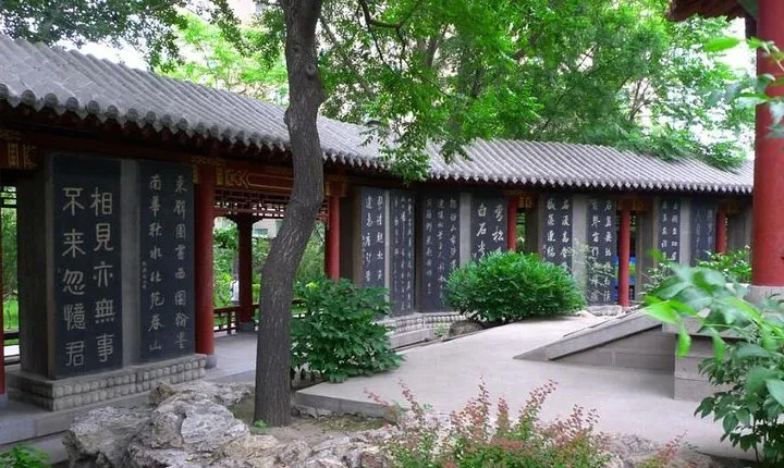 Shaanxi History Museum, Xi'an Museum, Stele Forest Museum Day Tour