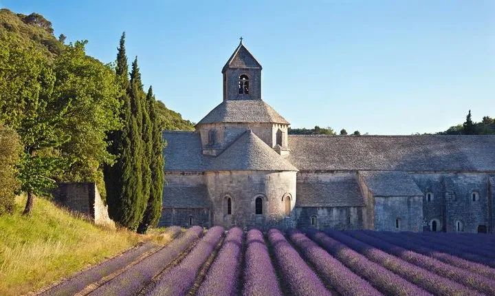 Provence Tour