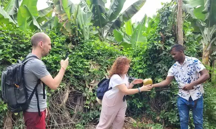 Banana Plantation / Black Sand Beach Experience