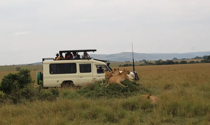 5-Day Private Tour in Kenya's Best Game Parks