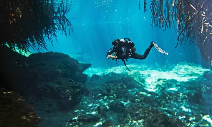 Try dive in beautiful Casa cenote for 2 people