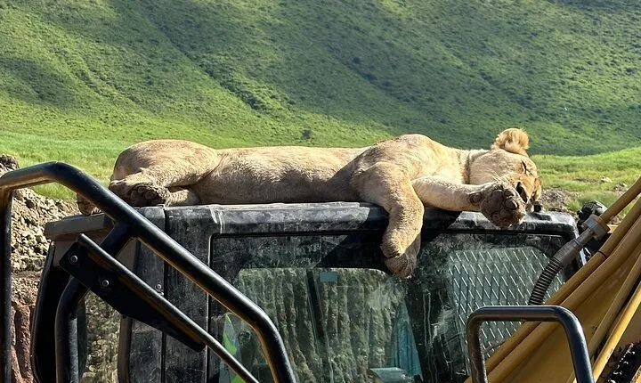 Classic 4-Day Tanzania Safari: Tarangire, Serengeti & Ngorongoro