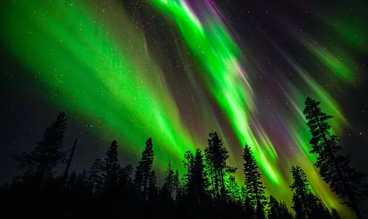 Family-Friendly: Northern Lights Adventure from Rovaniemi