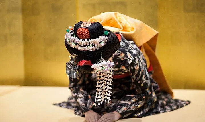 Maiko Dance Performance and Kyoto Cuisine