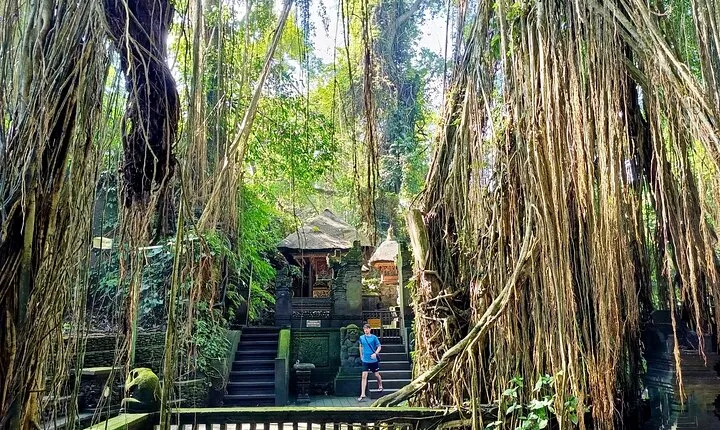 Private All-Inclusive Ubud Half-Day Tour