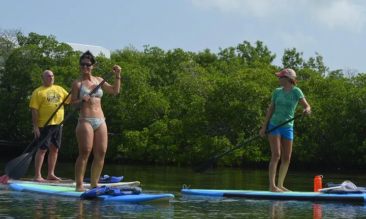Key West Stand Up Paddleboard Rental