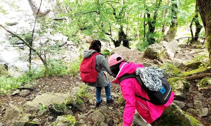 Mt. Vitosha and Boyana Waterfall Hiking Tour from Sofia