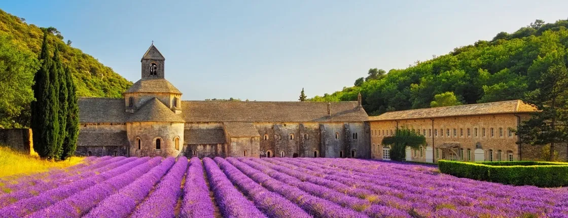 Provence lavender fields and Verdon Gorge guided tour from Nice
