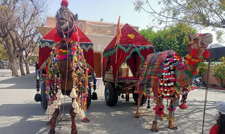 5-Day Private Golden Triangle Tour with Udaipur & Pushkar by Car