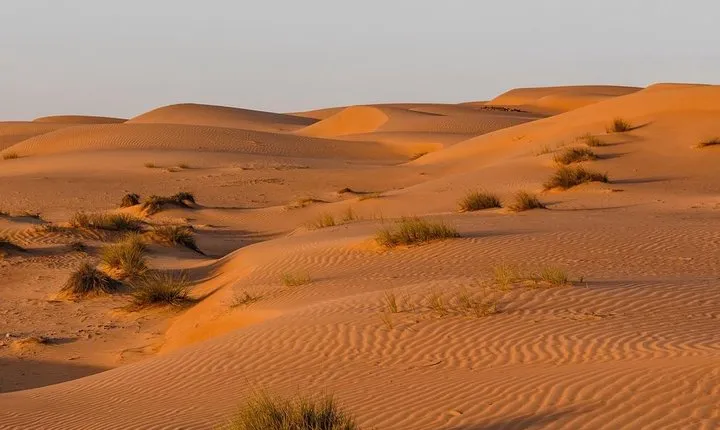 Desert Safari Private