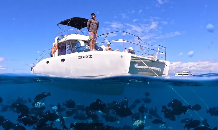 Small Group Turtle Canyon Snorkel in Waikiki (6 People Max)