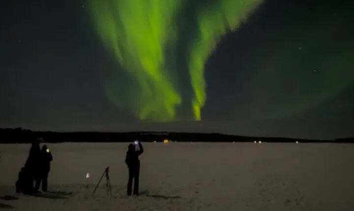 Rovaniemi Northern Lights Tour with Local Guides