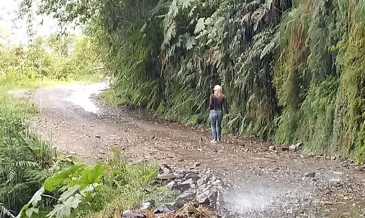 Private Tour to the Yungas Coroico The Death Route from La Paz