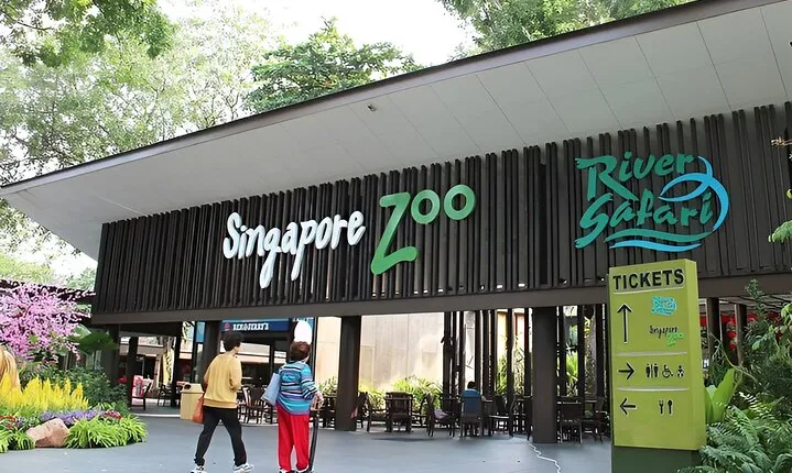 Singapore Zoo with tramp ride entry ticket Mandai Wildlife