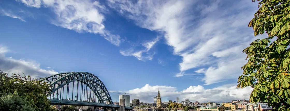 Newcastle half-day tour