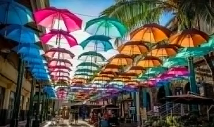 Full Day Private Guided Tour Of North Mauritius