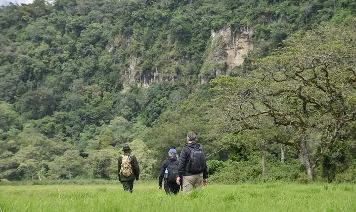Ngurdoto Crater (Mount Meru) Full-day Tour
