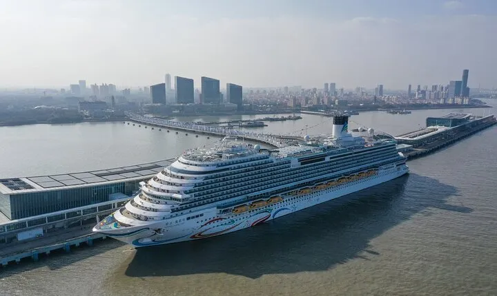 Private Transfer: Shanghai Wusongkou Cruise Terminal (Baoshan Port) to Hotel