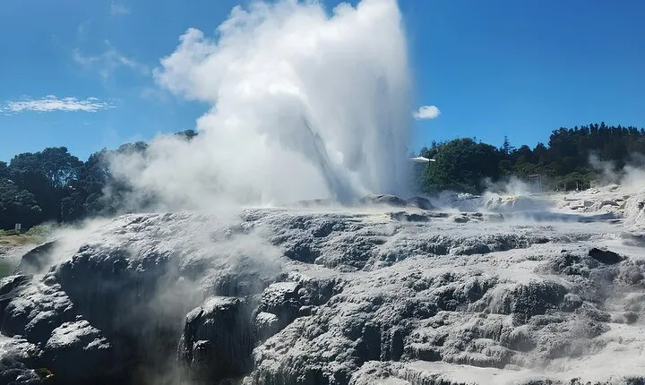 Auckland : Hobbiton & Te puia & red wood forest Private Tour