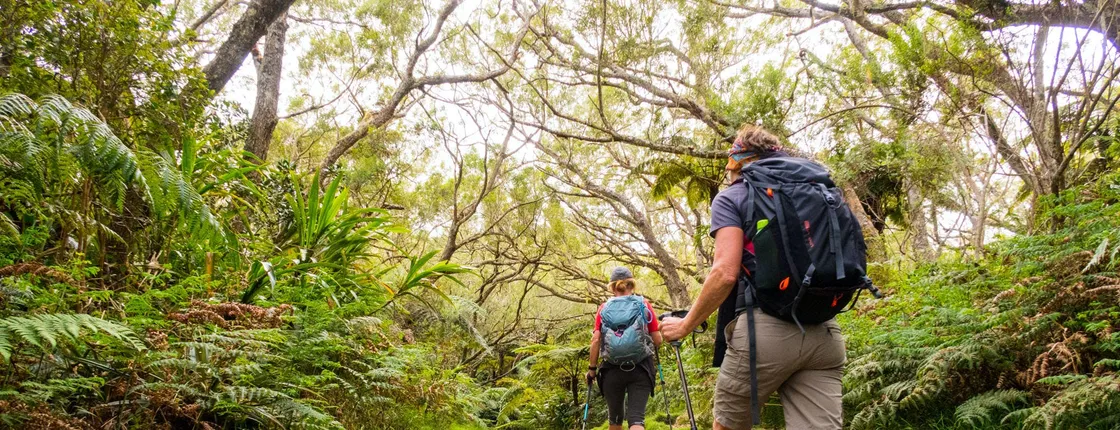 Réunion Island Belouve tropical forest and Trou de Fer viewpoint hike
