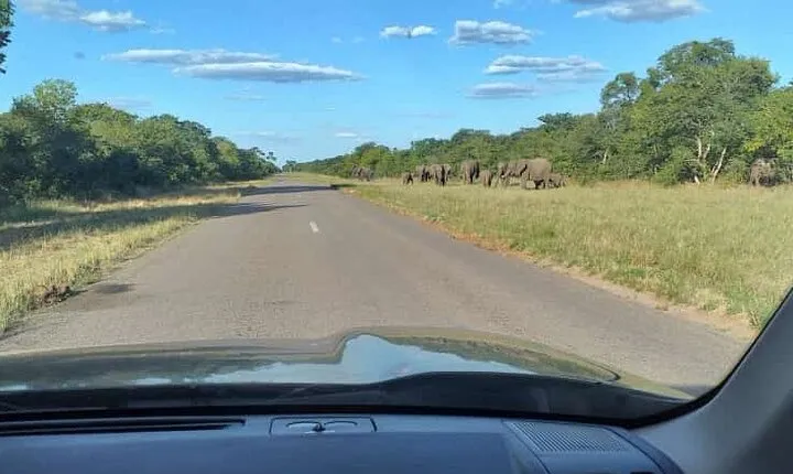Airport, Hotel and local transfers in Victoria Falls
