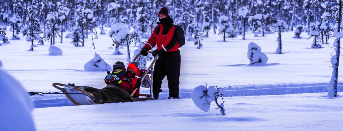 TUI Levi husky sleigh tour