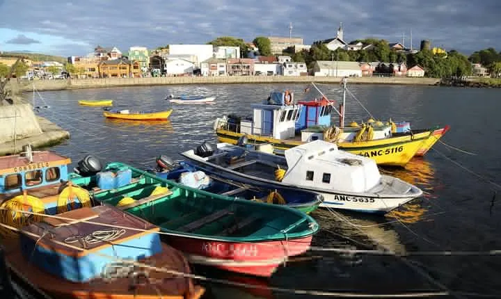 Puerto Montt: Full day Chiloe island visiting Ancud - Caulin - Lacuy