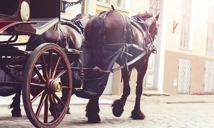 Aswan City Private Tour By Horse Carriage