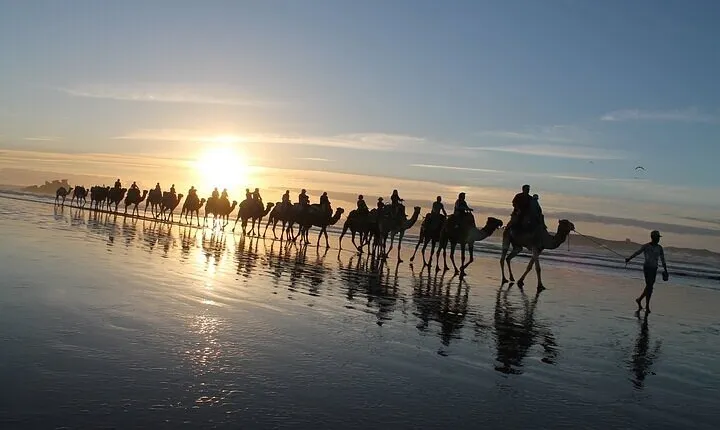Essaouira: 2H/ Quad + 2H/ Dromedary free transfer
