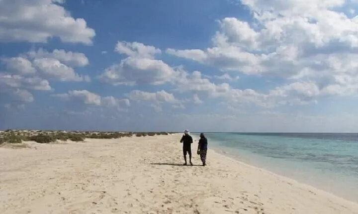 Hamata & Qulaan Islands Snorkeling Trip with Lunch : Marsa Alam