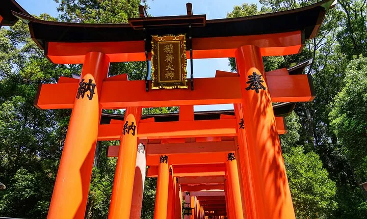 Kyoto: Classic Highlights Tour — Fushimi Inari, Nijo & Kinkaku-ji