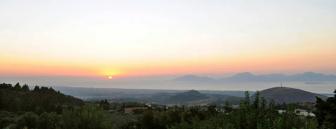 Zia by Night