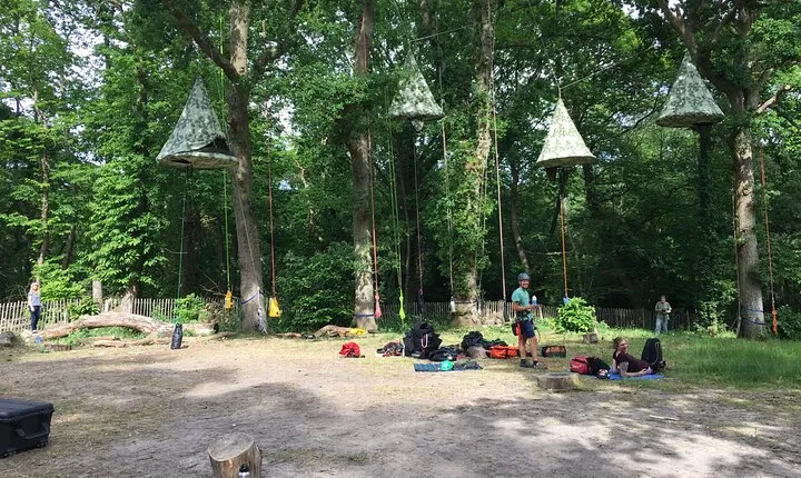 Tree Climbing Taster Session