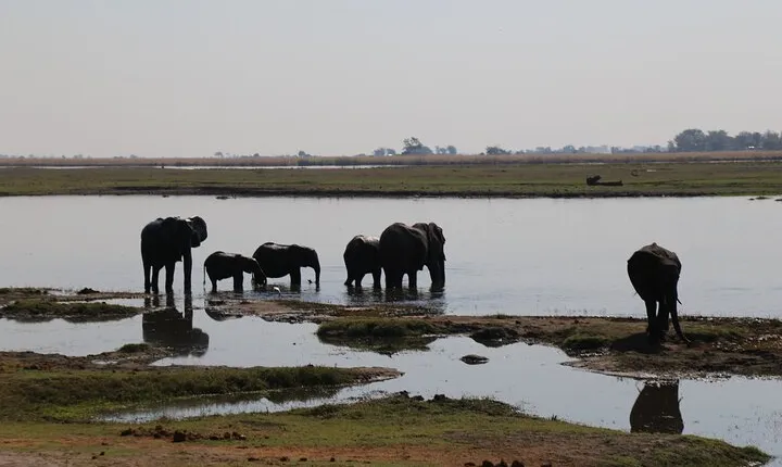 3 Days Guided Tour in Zimbabwe, Zambia and Botswana