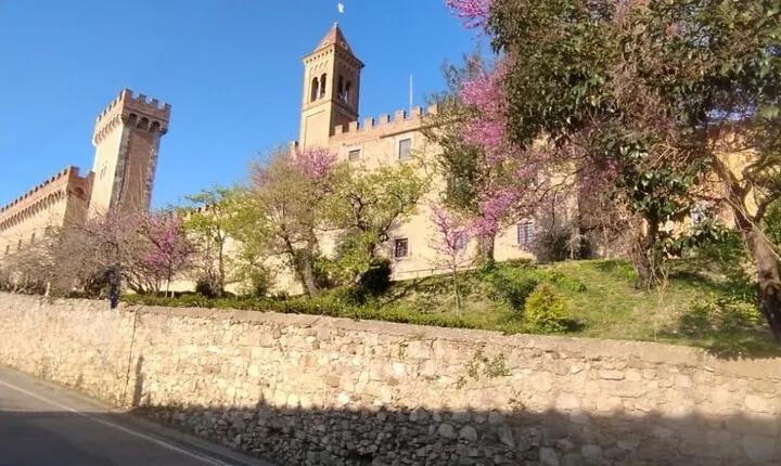 From Florence to Bolgheri Private Tour by Minivan