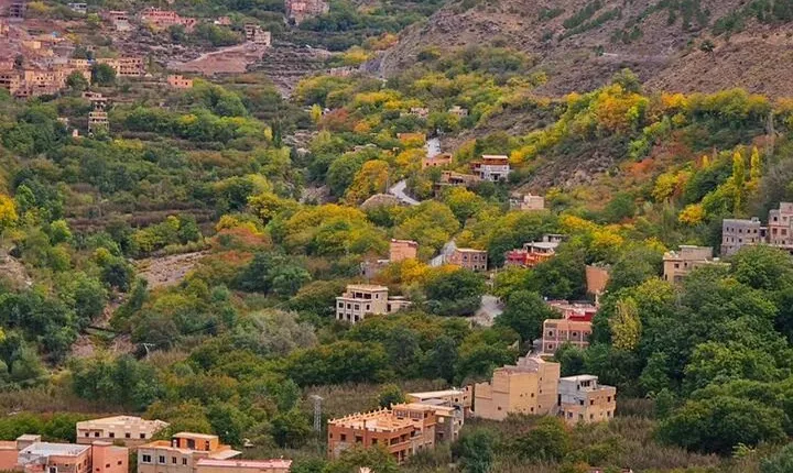Atlas Mountains Tour & three valleys with camel ride