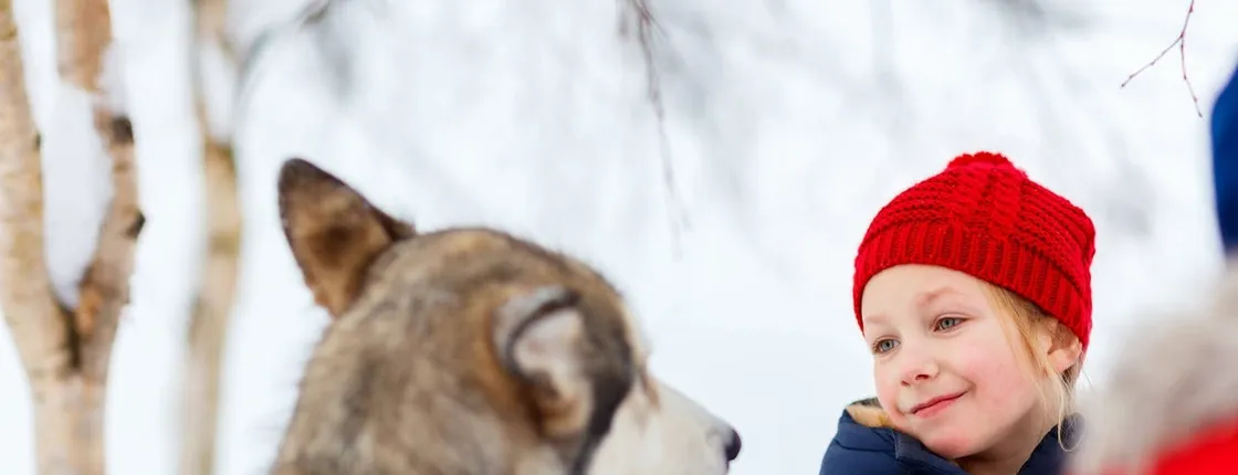 Arctic Circle Highlights Tour with Santa Claus Village