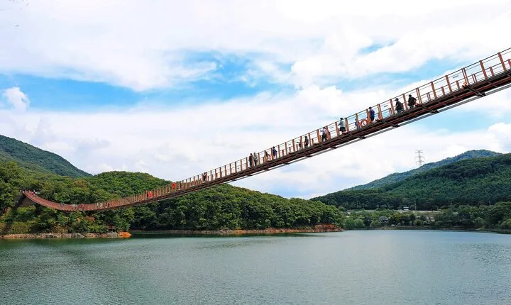 Myeongdong Seoul Bus Coach Tour Experience