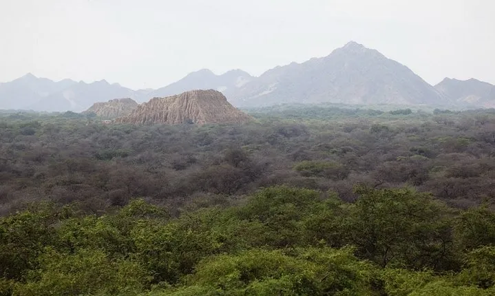 Pomac Forest Historic Sanctuary & Sican Museum