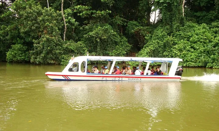 Tortuguero Canal Eco Cruise and Banana Plantation. Puerto Limon Shore Excursion