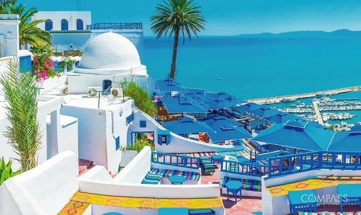 Discover Tunis: History, Culture & Stunning Coastal Gems in a Day