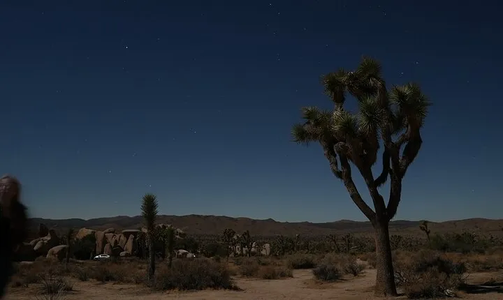 Joshua Tree National Park Private Adventure from Los Angeles